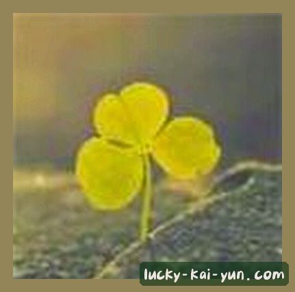 刘芳
